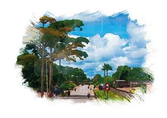 Illustration à l'aquarelle d'une avenue bordée d'arbres