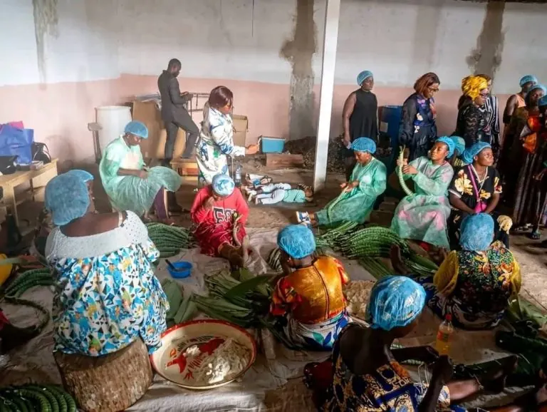 Des femmes en charlotte assises au sol préparent des bâtons de manioc enveloppés dans des feuilles
