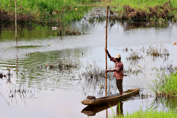 Un homme debout sur une pirogue la fait avancer à la perche