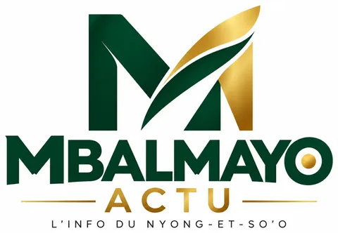 MBALMAYO ACTU, l'info du Nyong-et-So'o